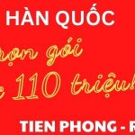 Tư vấn du học Hàn Quốc uy tín